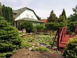 Apartmány Rajna
