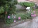 Haus Jeremias Therme Apartmanok 39