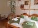 Kaktusz Villa 15
