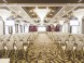 Caramell Premium Resort 55