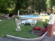 Balaton Panzió 7