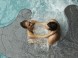 Spirit Hotel Thermal Spa 58