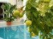 Wellness Hotel Kakadu 34