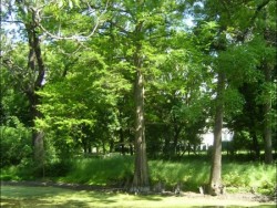 Borsodivánkai kastélypark