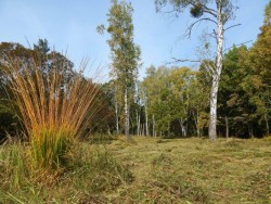 Hortobágyi Nemzeti Park