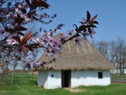 Sóstói Múzeumfalu Nyíregyháza