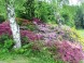 Budafai arborétum 3
