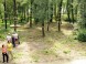 Öko-Kalandpark Gyenesdiás 1