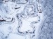 HELL KART & EVENT CENTER -  Avalon Park  21