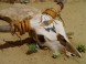 Henryx Westerncity  3