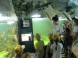 Tropicarium és Óceanárium Budapest 4