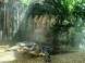 Tropicarium és Óceanárium Budapest 7
