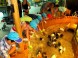 Tropicarium és Óceanárium Budapest 8