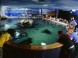 Tropicarium és Óceanárium Budapest 11