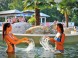 Aquarius Aquapark Nyíregyháza 16