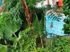 Aquasziget Élményfürdő 12
