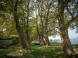 Balatonboglár - Jankovich-telepi strand 3