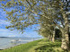 Balatonboglár - Jankovich-telepi strand 10