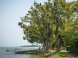 Balatonboglár - Jankovich-telepi strand 11