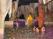 Hungarospa – Aqua-Palace Fedett Élményfürdő  8