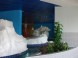Hungarospa – Aqua-Palace Fedett Élményfürdő  16