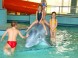 Hungarospa – Aqua-Palace Fedett Élményfürdő  13