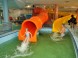 Hungarospa – Aqua-Palace Fedett Élményfürdő  9