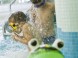 Ensana Thermal Aqua Health Spa Hotel 16